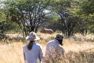 Avenir Safari Group