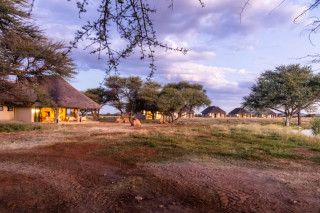 Avenir Safari Group