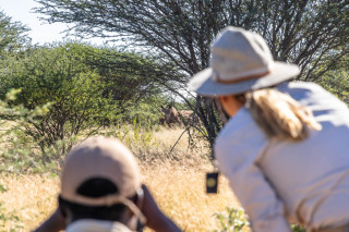 Avenir Safari Group