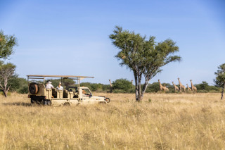 Avenir Safari Group
