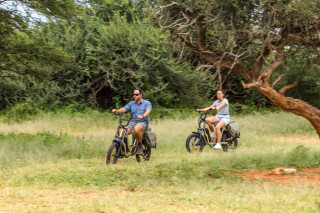 Aloegrove Safari Lodge