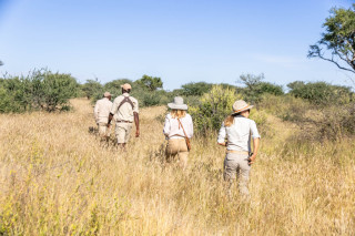 Avenir Safari Group