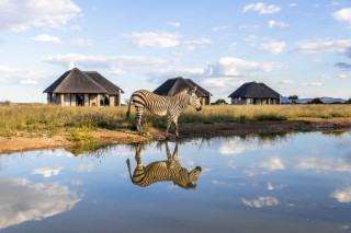 Avenir Safari Group