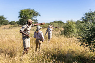 Avenir Safari Group